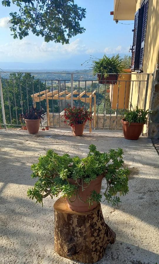 Villa De Felice Albanella Exteriör bild